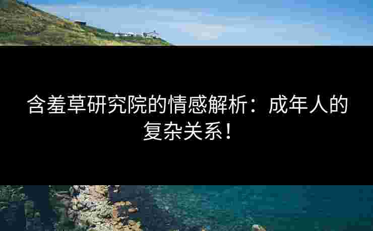 含羞草研究院的情感解析：成年人的复杂关系！