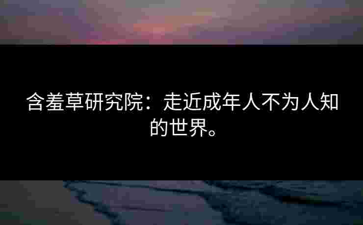 含羞草研究院：走近成年人不为人知的世界。
